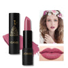 Waterproof Velvet Matte Lipstick Moisturizer