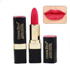 Red Pigment Velvet Matte Lipstick