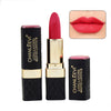 Red Pigment Velvet Matte Lipstick