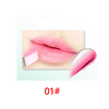 Moisturizer Dual Lip Tint