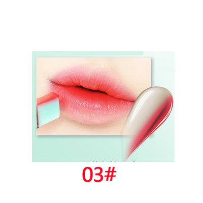 Moisturizer Dual Lip Tint